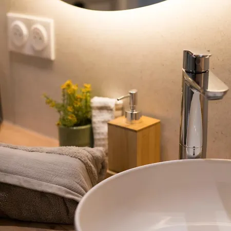 Apartament L'exotique Baignoire Double Cozy Duplex Haguenau
