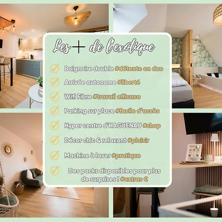 L'exotique Baignoire Double Cozy Duplex * Haguenau