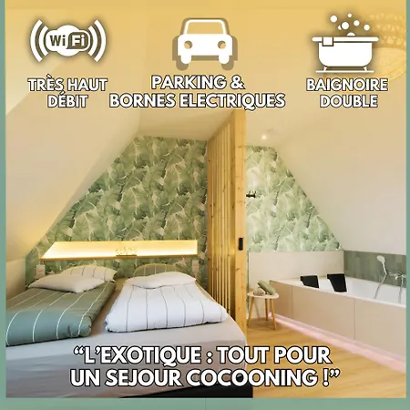 L'exotique Baignoire Double Cozy Duplex Apartament Haguenau