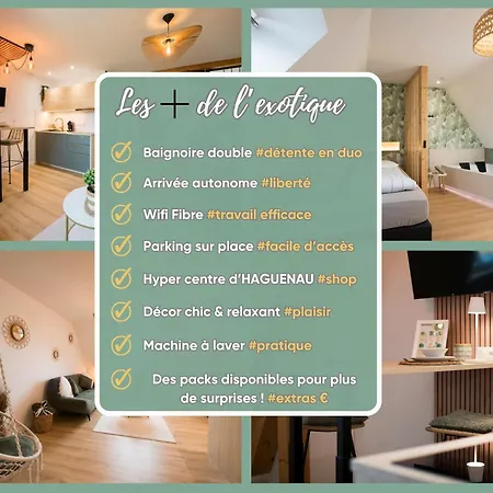 L'exotique Baignoire Double Cozy Duplex * Haguenau